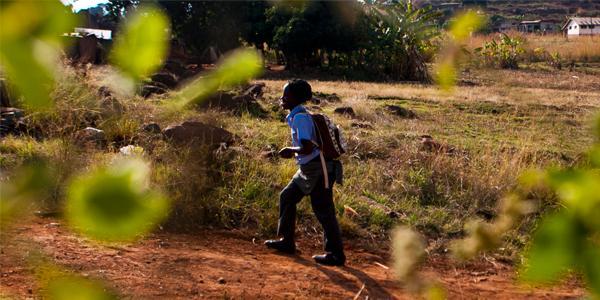 Child in school uniform walking behind trees_generic 600x300